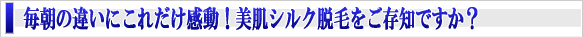 魅力説明